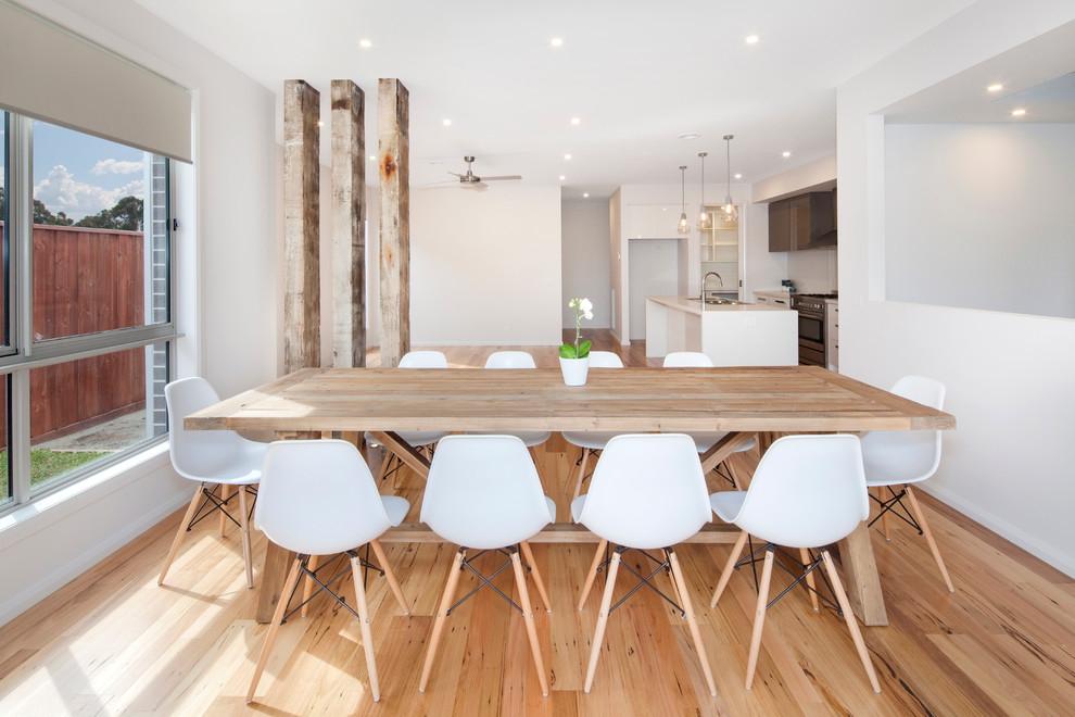 Contemporary kitchen/dining room in Melbourne with white walls and medium hardwood flooring.