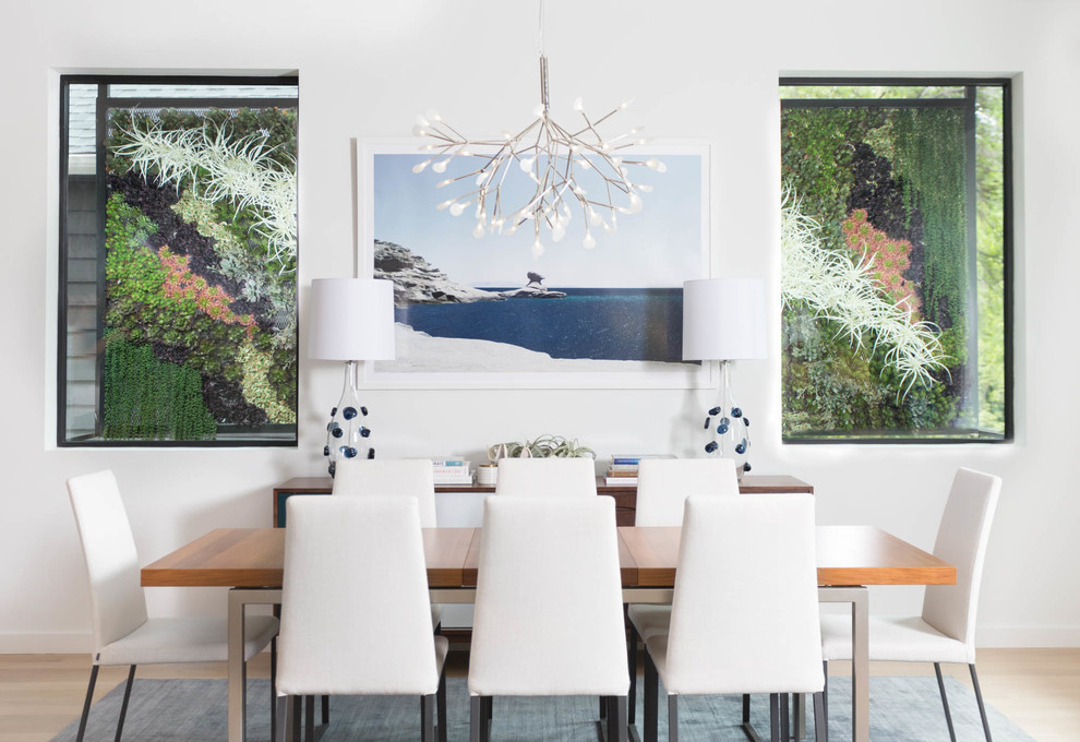 Photo of a medium sized contemporary dining room in Austin with white walls, light hardwood flooring, beige floors and feature lighting.