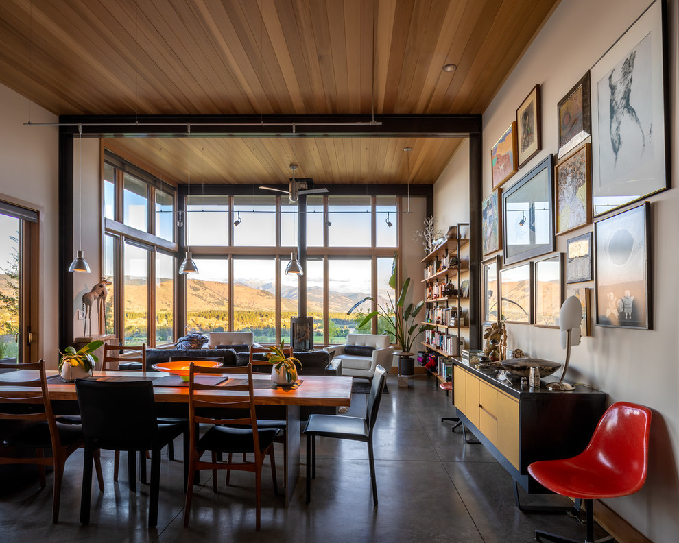 Medium sized eclectic open plan dining room in Seattle with white walls, concrete flooring, a wood burning stove and grey floors.