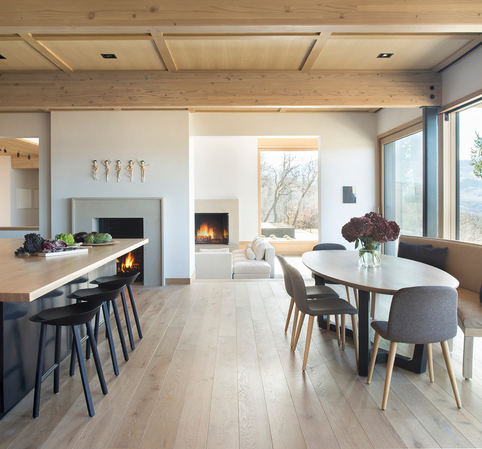 Moderne Wohnküche mit weißer Wandfarbe, hellem Holzboden, Kamin und beigem Boden in Denver