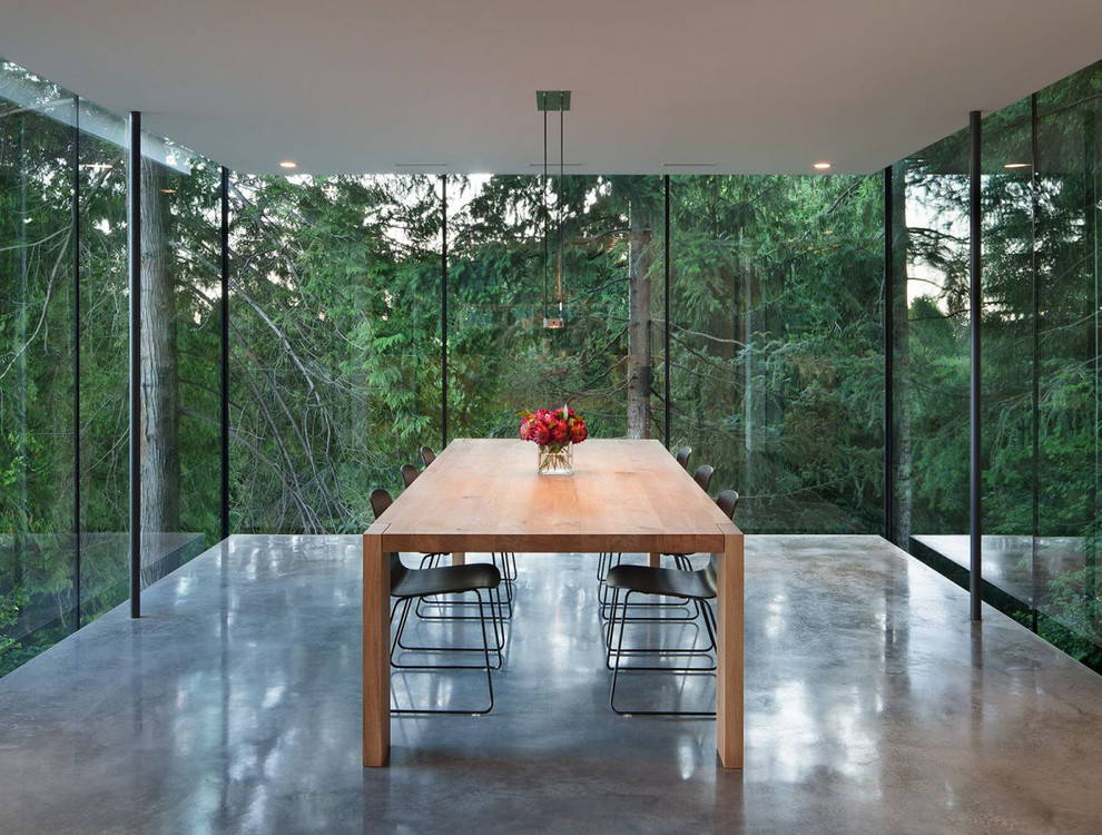 Immagine di una sala da pranzo moderna con pavimento in cemento e pavimento grigio