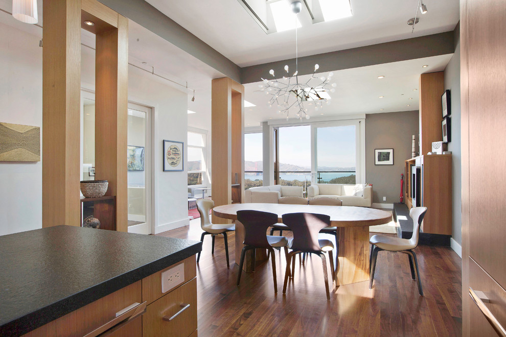 Große Moderne Wohnküche mit bunten Wänden, braunem Holzboden, Kamin und Kaminumrandung aus Metall in San Francisco