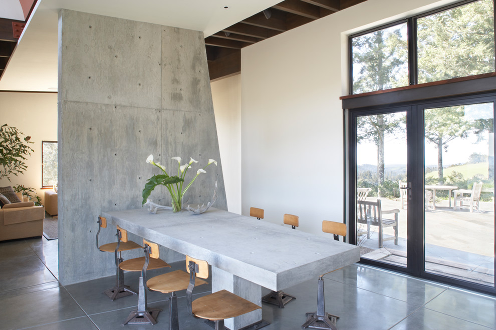 Идея дизайна: отдельная столовая среднего размера в современном стиле с бетонным полом, серым полом и белыми стенами без камина