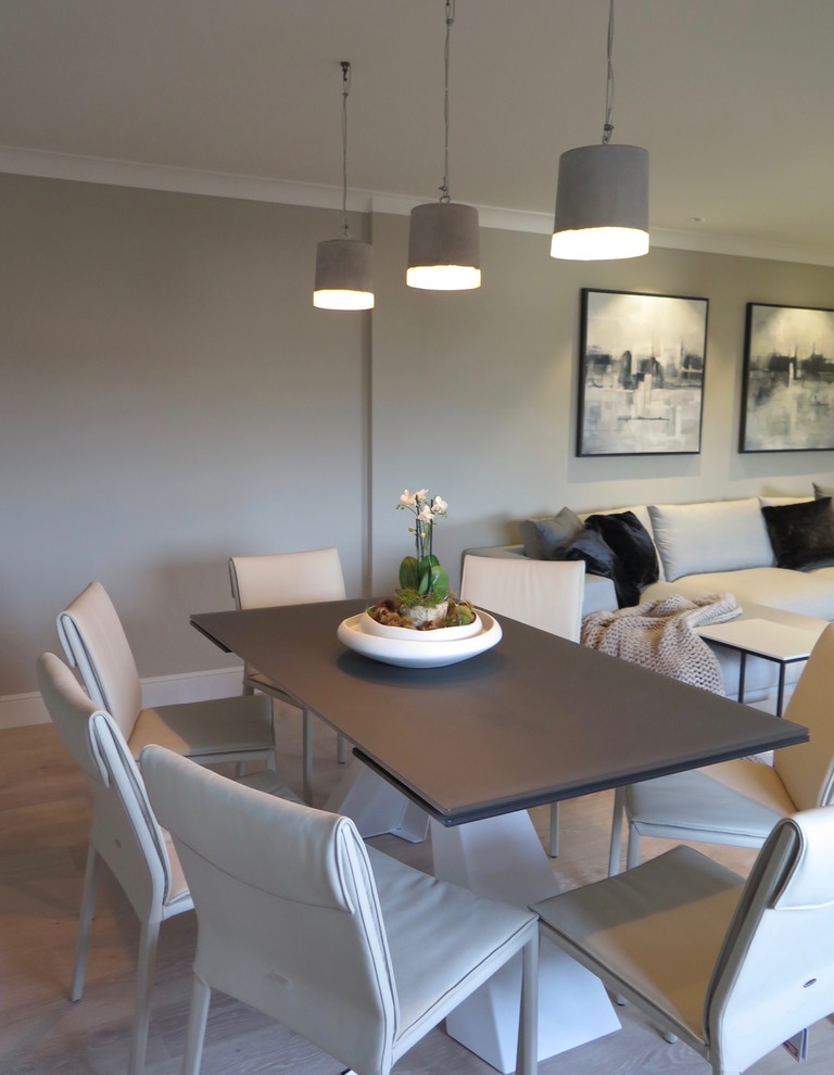 Photo of a medium sized scandi dining room in Cheshire with grey walls, light hardwood flooring, a wood burning stove and a plastered fireplace surround.