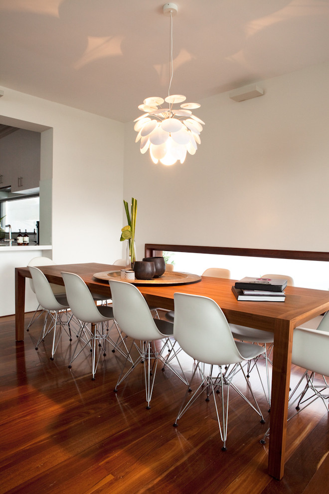 Modernes Esszimmer mit weißer Wandfarbe und braunem Holzboden in Perth