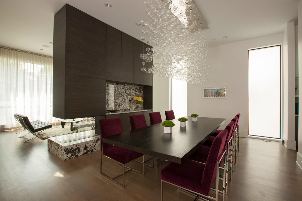 Foto di una sala da pranzo design con pareti bianche, parquet scuro, camino bifacciale e pavimento marrone