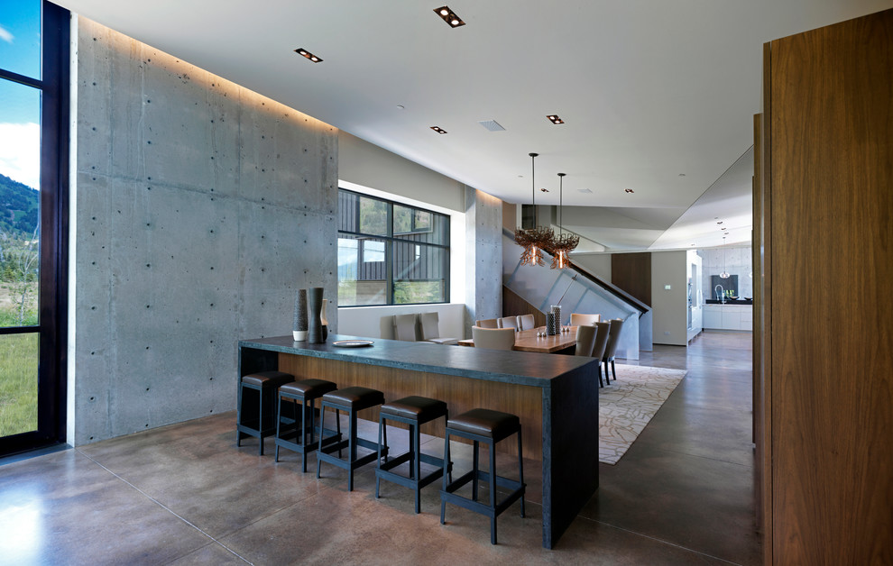 Immagine di una grande sala da pranzo aperta verso il soggiorno design con pavimento in cemento, pareti bianche, nessun camino e pavimento marrone