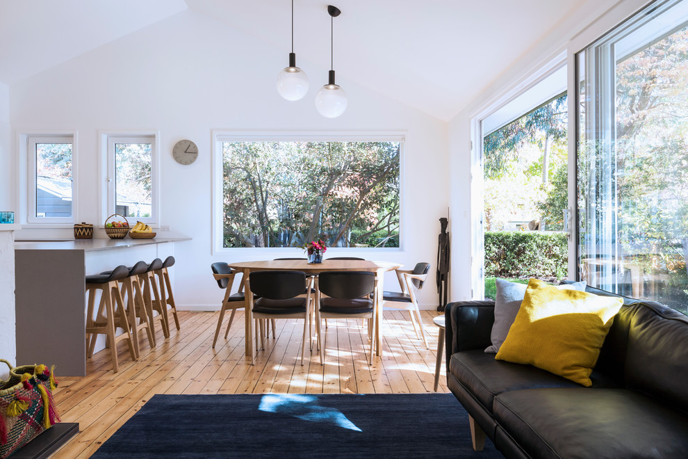 Esempio di una piccola sala da pranzo contemporanea con pareti bianche, pavimento in legno massello medio e pavimento marrone
