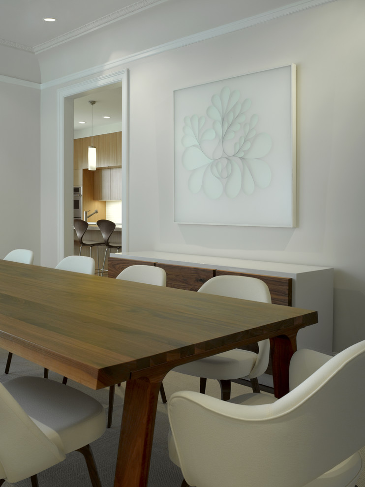 Источник вдохновения для домашнего уюта: отдельная столовая в современном стиле с белыми стенами