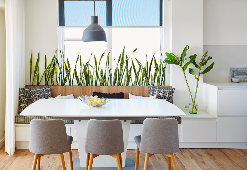 Trendy light wood floor dining room photo in Sydney