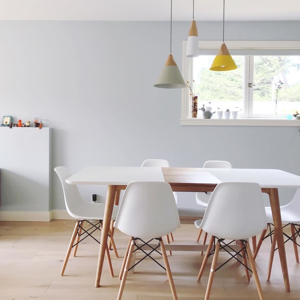 На фото: кухня-столовая среднего размера в современном стиле с синими стенами, светлым паркетным полом и бежевым полом с