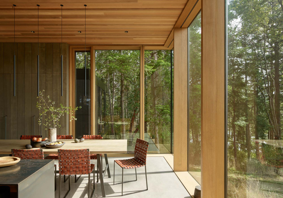Идея дизайна: кухня-столовая в стиле модернизм с бетонным полом, серым полом и деревянным потолком