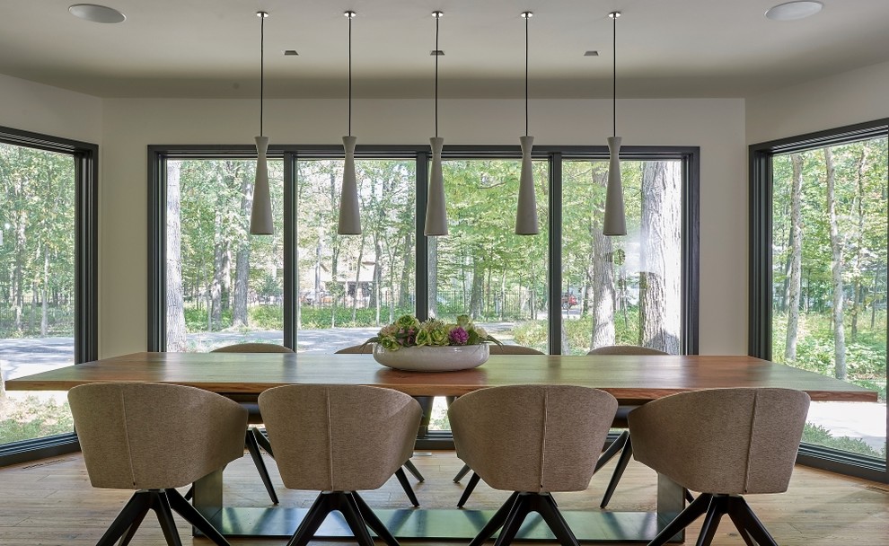 Inspiration for a medium sized modern dining room in Chicago.