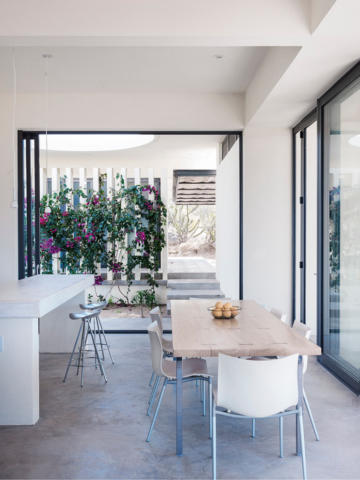 Источник вдохновения для домашнего уюта: столовая в стиле модернизм с бетонным полом и белыми стенами