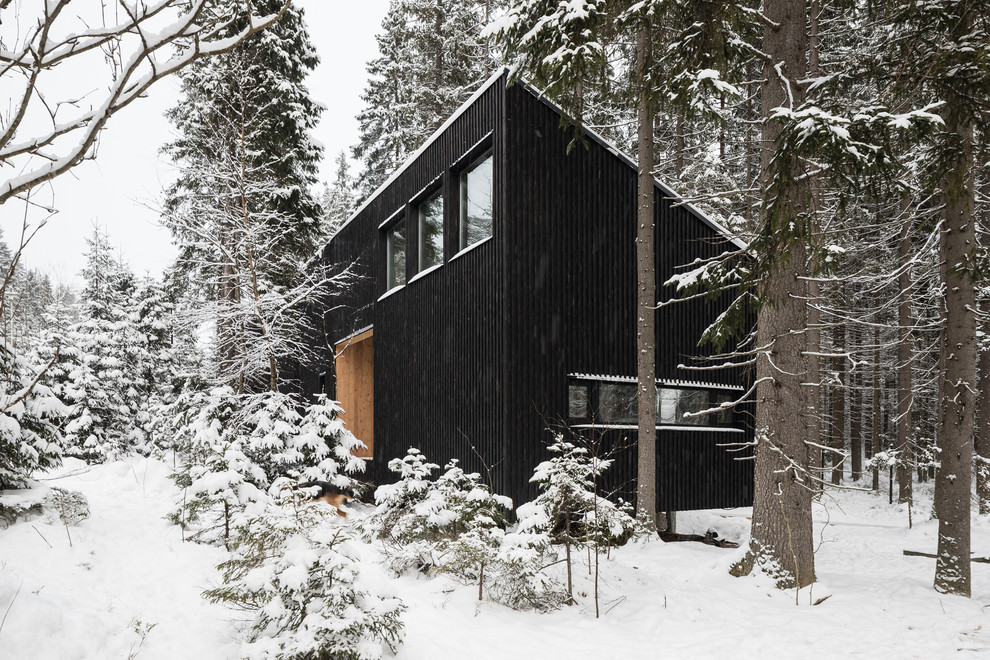 На фото: одноэтажный, деревянный, черный частный загородный дом среднего размера в современном стиле с односкатной крышей и металлической крышей