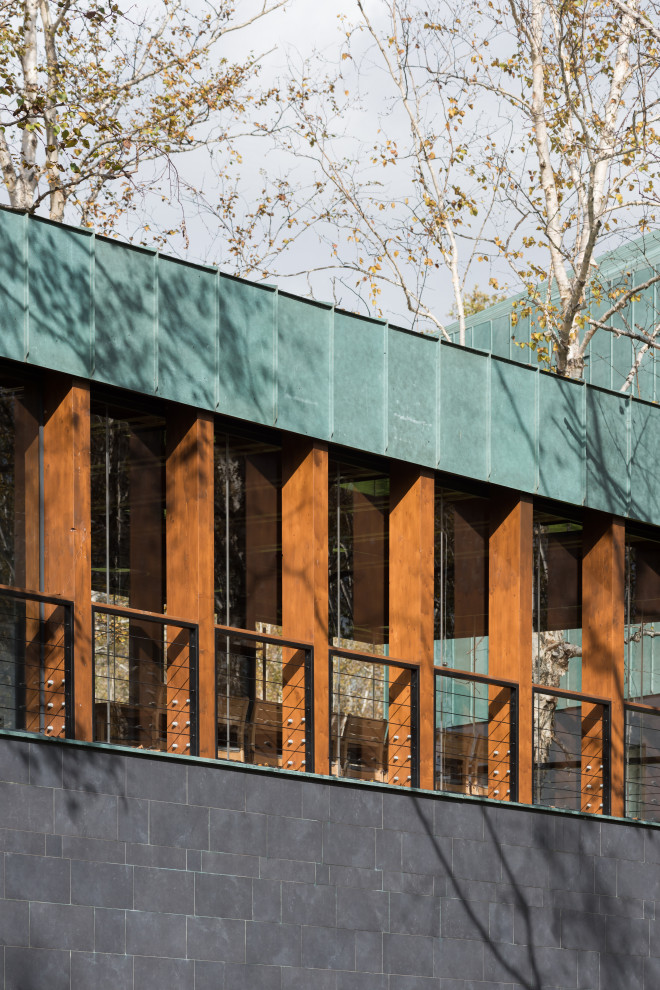 Mittelgroßes, Einstöckiges Modernes Einfamilienhaus mit Mix-Fassade, bunter Fassadenfarbe, Pultdach und Blechdach in Sonstige