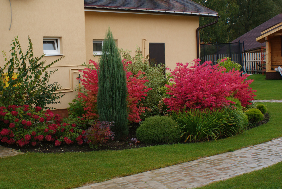 Cette photo montre un jardin tendance de taille moyenne et l'automne avec une exposition ensoleillée.
