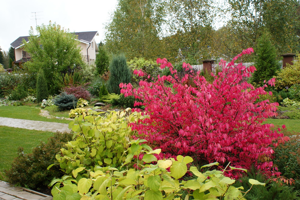 Inspiration for a mid-sized contemporary full sun landscaping in Moscow for fall.