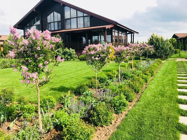 Сосновые берега - Contemporary - Garden - Moscow - by Светлана Батова | Цветущий сад | Houzz IE