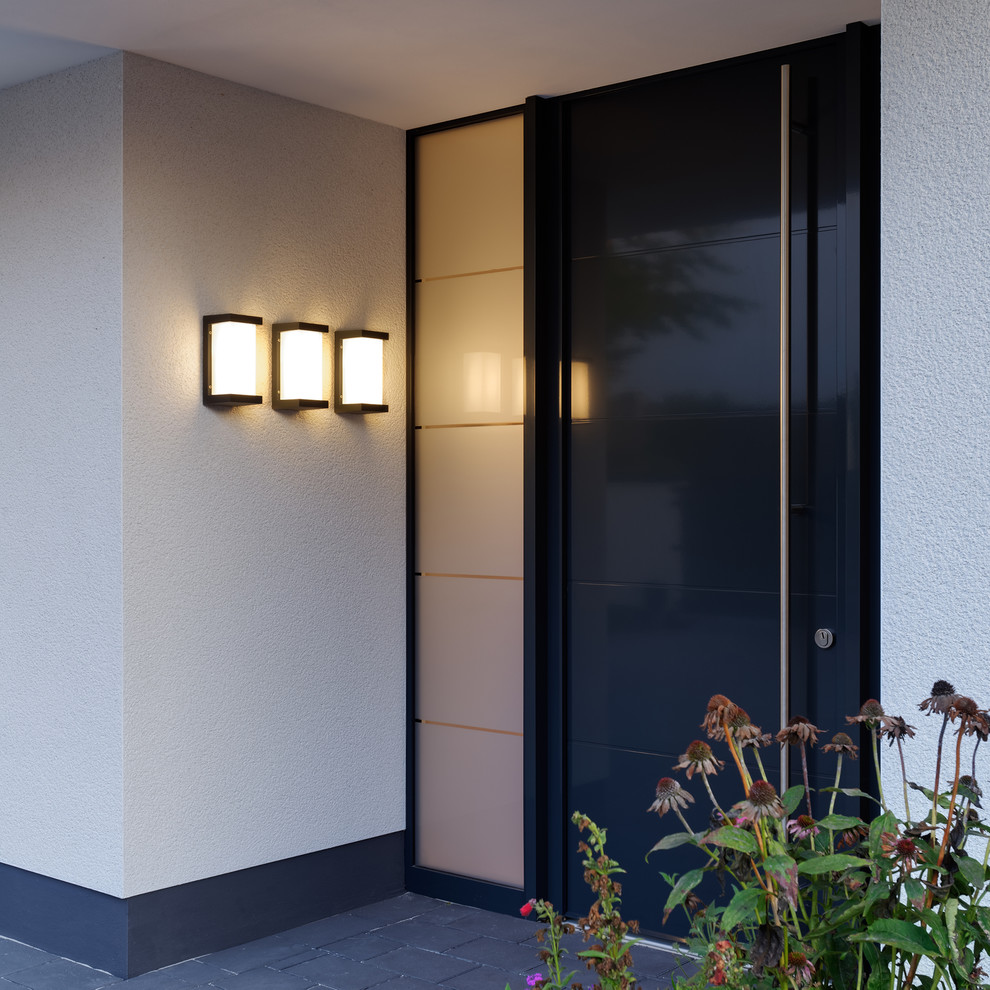 Источник вдохновения для домашнего уюта: входная дверь среднего размера в современном стиле с одностворчатой входной дверью, белыми стенами, черной входной дверью и черным полом