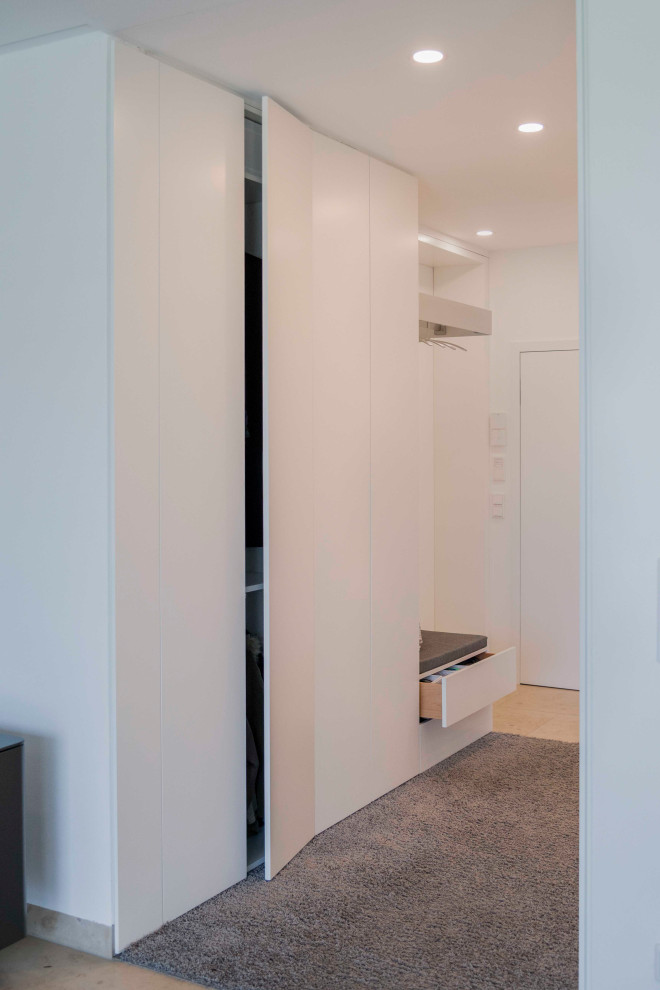 Diseño de entrada actual de tamaño medio con paredes blancas, puerta simple y suelo gris