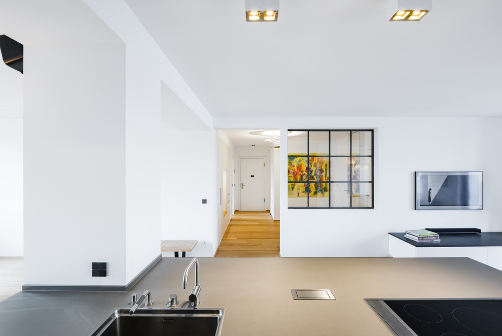 Large urban foyer in Essen with light hardwood flooring, a single front door, white walls, a white front door and brown floors.
