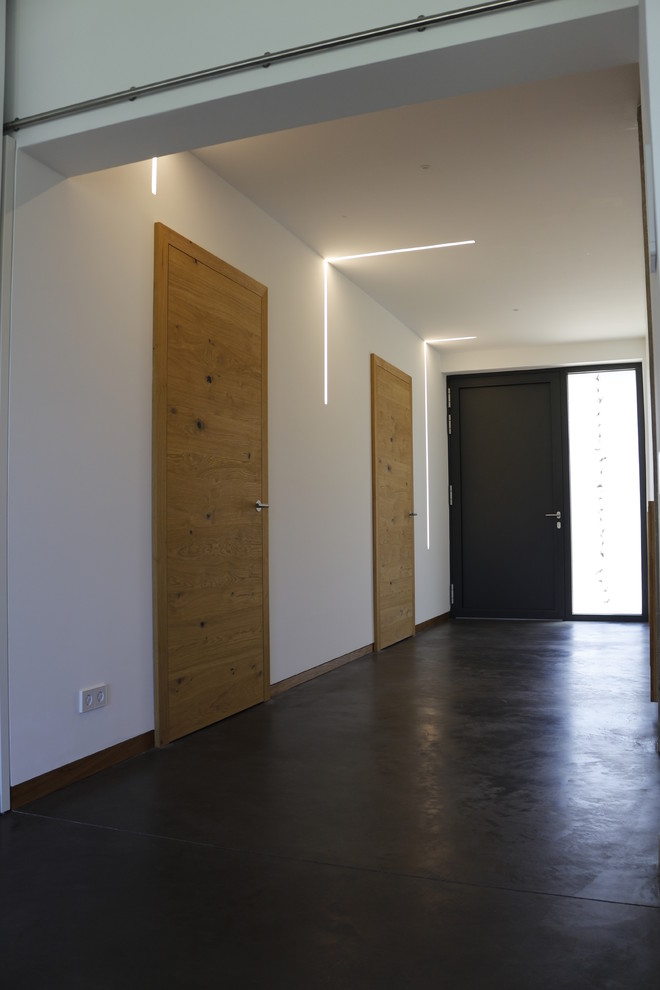 Источник вдохновения для домашнего уюта: прихожая в стиле модернизм с белыми стенами, одностворчатой входной дверью, черной входной дверью и черным полом