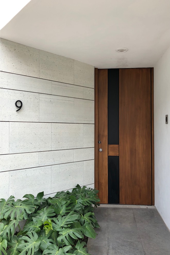Idées déco pour une petite porte d'entrée contemporaine avec un mur blanc, un sol en ardoise, une porte pivot, une porte en bois brun et un sol gris.