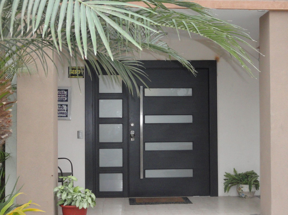 Idee per un ingresso o corridoio minimalista con una porta a due ante e una porta in legno scuro
