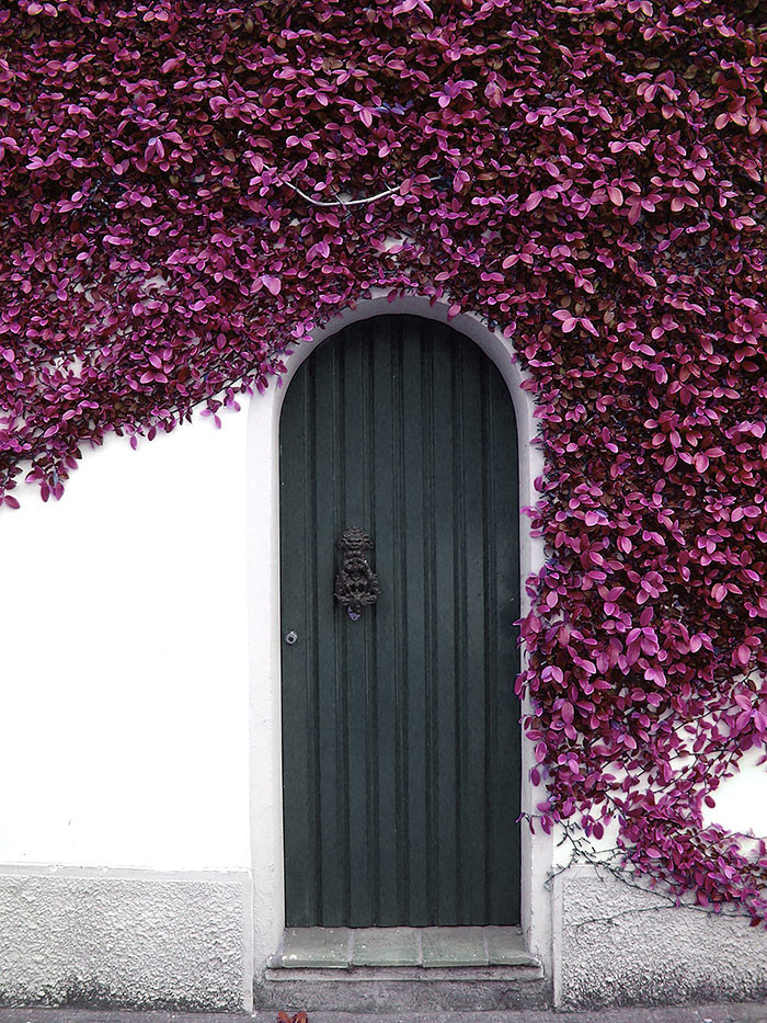 This is an example of a bohemian front door in Cornwall with multi-coloured walls, a single front door and a metal front door.