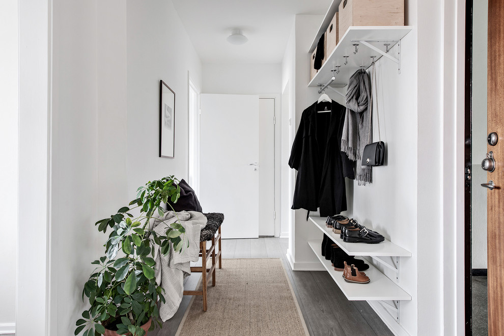 Idéer för att renovera en minimalistisk entré, med vita väggar, mörkt trägolv och grått golv