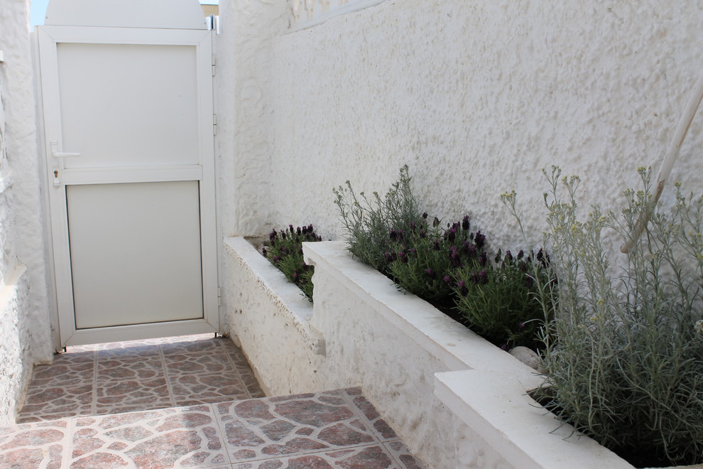 Idéer för att renovera en mellanstor medelhavsstil ingång och ytterdörr, med vita väggar, en enkeldörr och en vit dörr