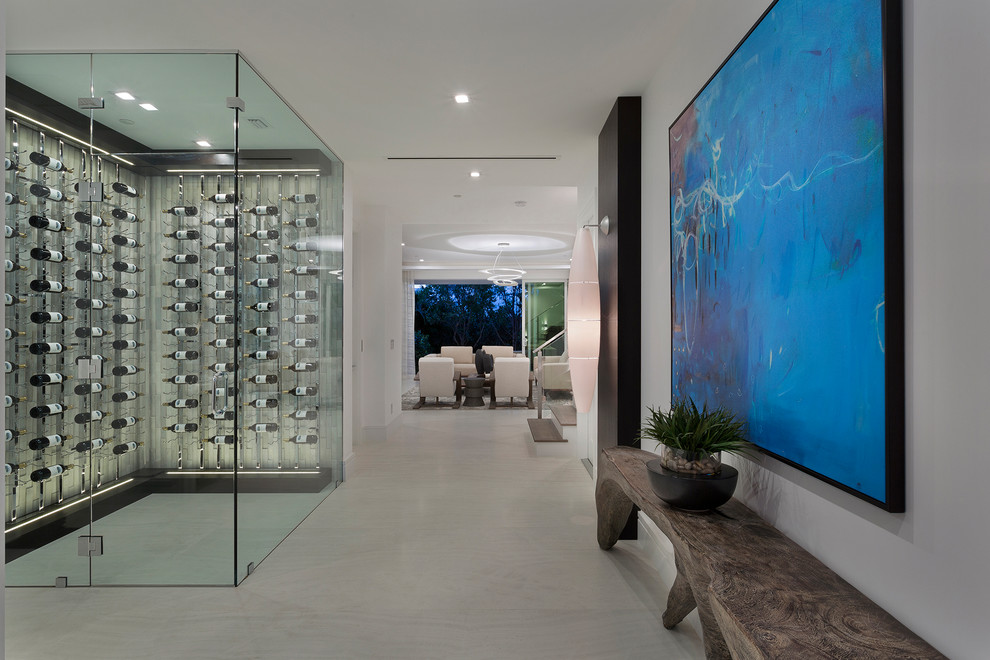 Foto di un corridoio minimal di medie dimensioni con pareti bianche, pavimento in gres porcellanato, pavimento grigio, una porta singola e una porta in vetro