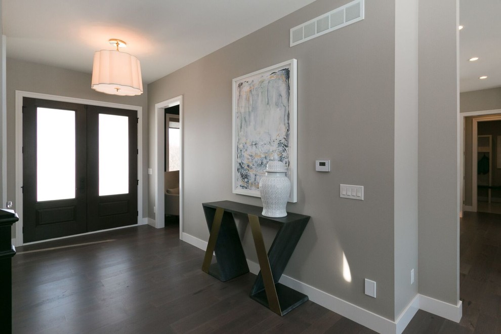 Example of a mid-sized transitional dark wood floor entryway design in Cedar Rapids with gray walls and a black front door