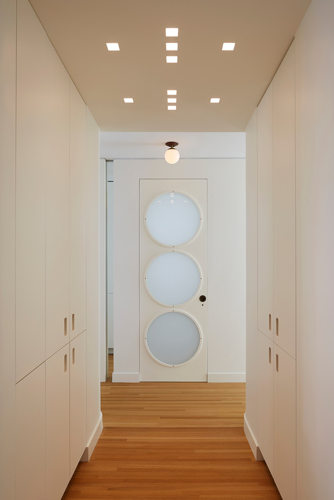 Mittelgroße Moderne Haustür mit weißer Wandfarbe, hellem Holzboden, Einzeltür und grauer Haustür in New York