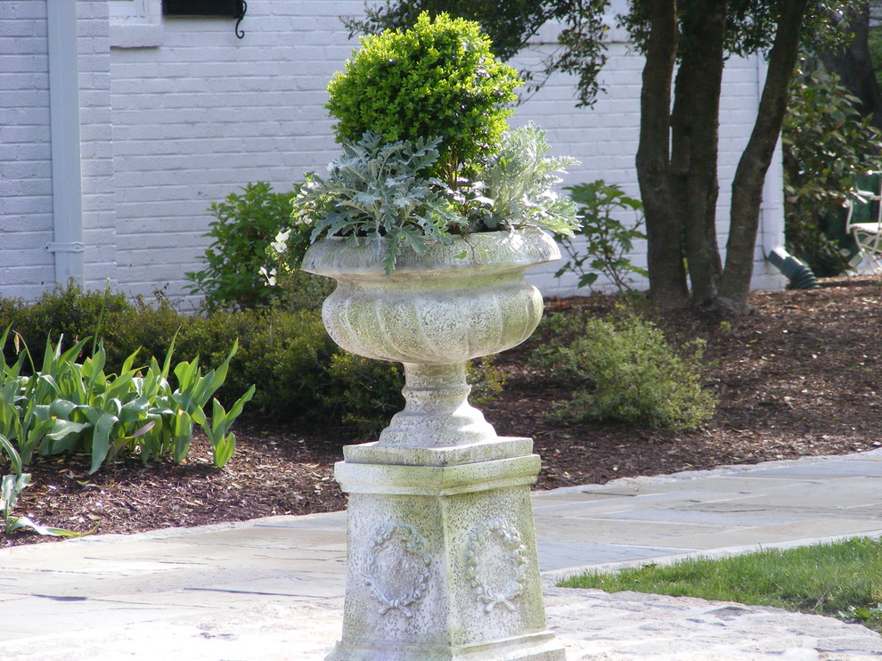 A Boxwood anchors this urn with annual flowers at front entry