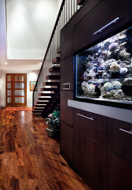 A House With Zip! - Contemporáneo - Entrada - Austin - de CG&S Design-Build