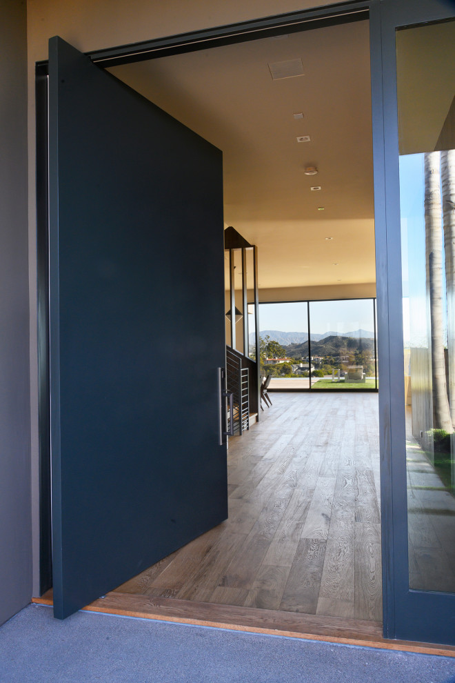 Ispirazione per una grande porta d'ingresso minimalista con pareti bianche, parquet chiaro, una porta singola, una porta blu e pavimento marrone