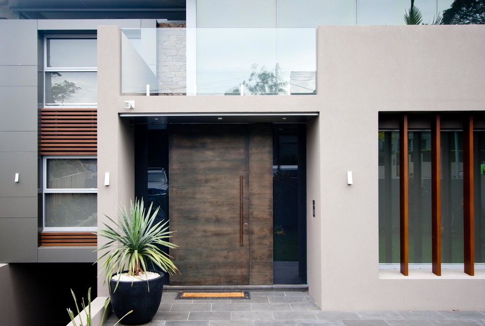Inspiration for a contemporary front door in Sydney with a single front door and a dark wood front door.
