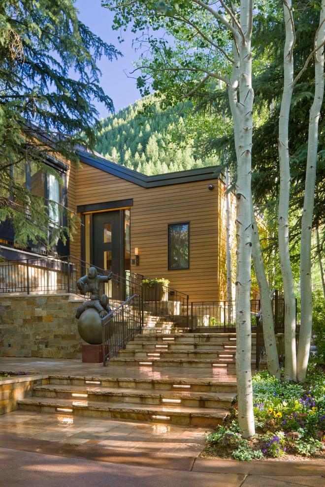 Cette image montre une entrée chalet avec une porte simple et une porte en bois foncé.