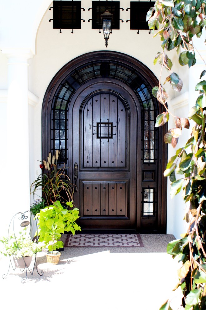 Design ideas for an expansive contemporary front door in Vancouver with a single front door and a dark wood front door.