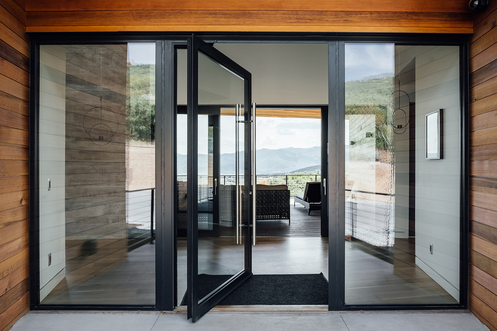 Esempio di una grande porta d'ingresso design con pareti bianche, pavimento in cemento, una porta a pivot, una porta in vetro e pavimento grigio