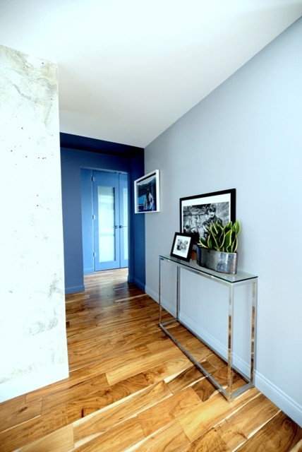 Ejemplo de vestíbulo minimalista pequeño con paredes grises, suelo de madera en tonos medios, puerta simple y puerta azul