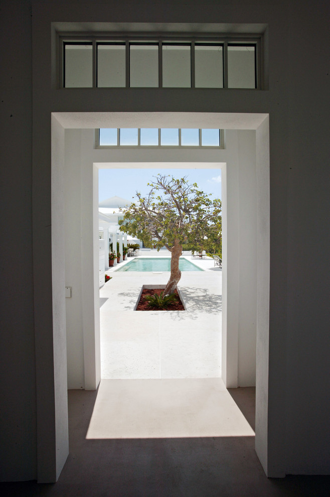 Modelo de entrada exótica de tamaño medio con paredes blancas