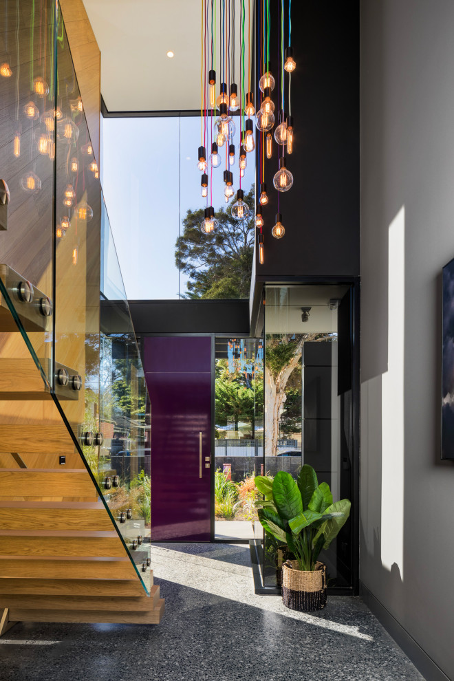 На фото: фойе в стиле модернизм с серыми стенами, гранитным полом, одностворчатой входной дверью, фиолетовой входной дверью и серым полом