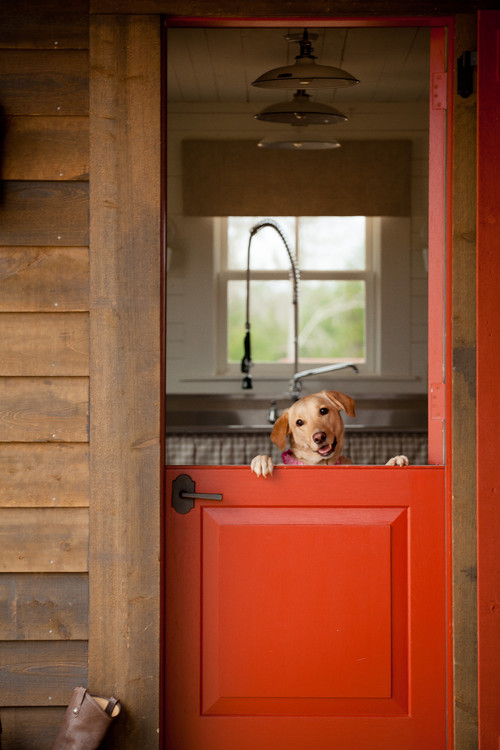 犬に学ぶ幸せな暮らし方 10の法則 Houzz ハウズ