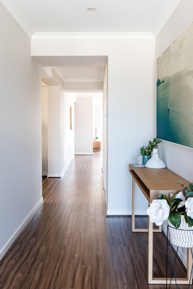 Photo of a medium sized contemporary front door in Melbourne with grey walls, light hardwood flooring, a single front door, a dark wood front door and brown floors.