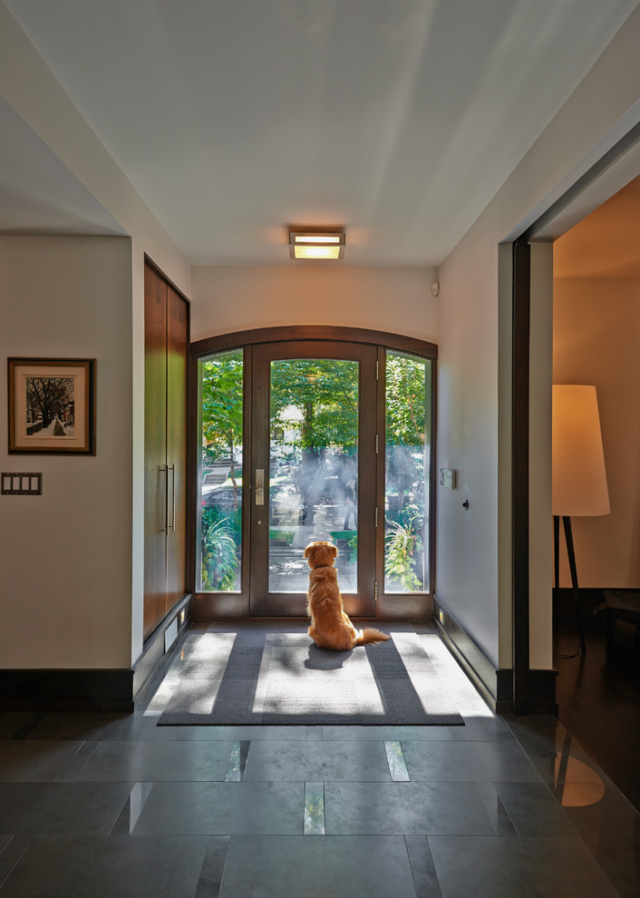 Medium sized contemporary hallway in Toronto with white walls, slate flooring, a single front door and a dark wood front door.