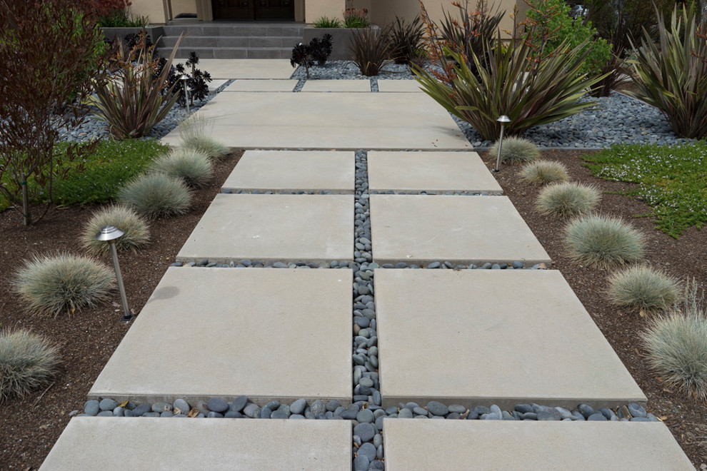 Black Mexican Pebble Moderne Entrée San Francisco par Peninsula