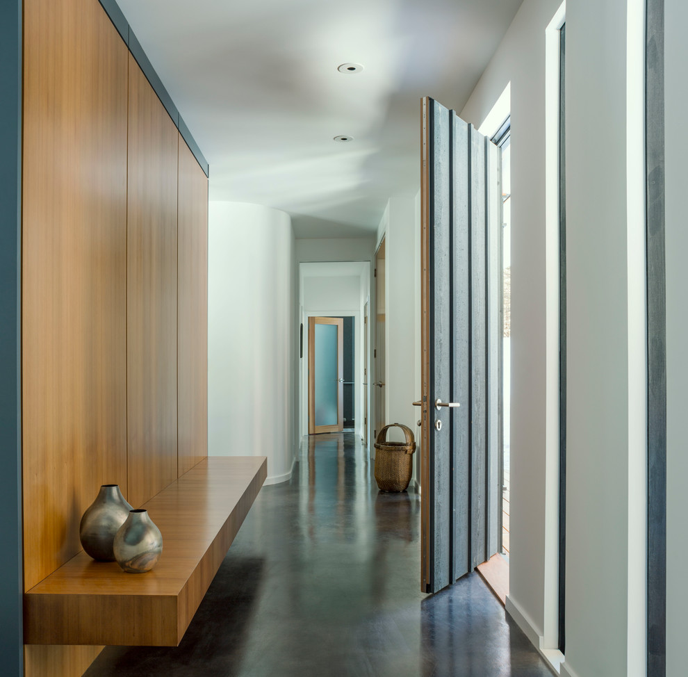 Идея дизайна: входная дверь среднего размера в стиле модернизм с белыми стенами, бетонным полом, одностворчатой входной дверью, входной дверью из темного дерева и серым полом